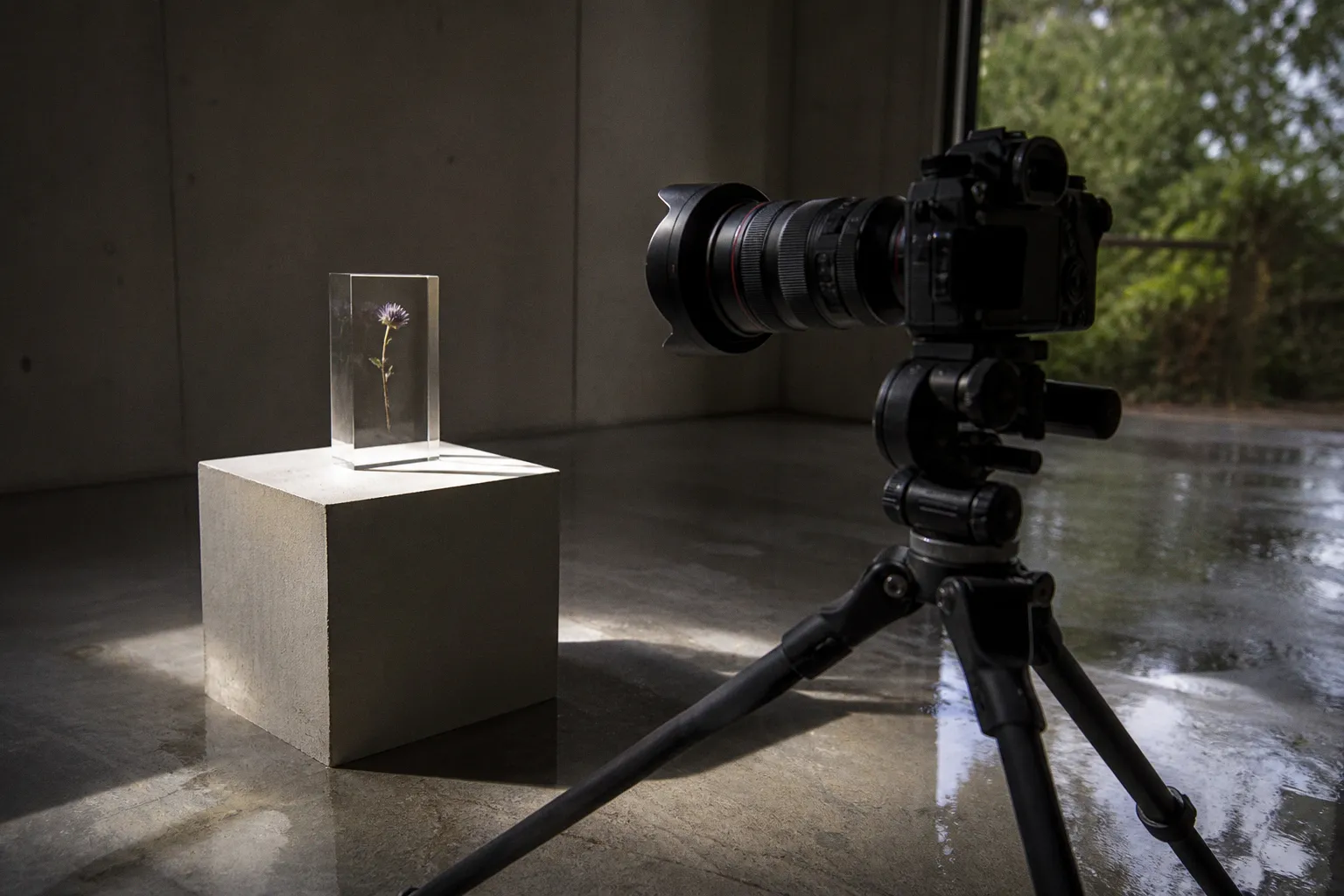 Gaussian splatting : l'expérience immersive de Thomas