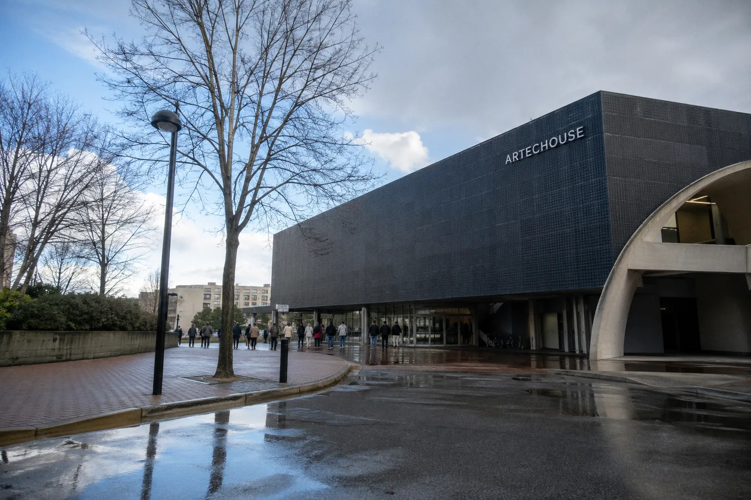 SUBMERGE à Washington : quand l'art numérique redéfinit l'espace immersif